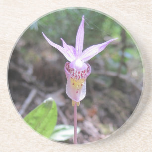 Fairyslipper Orchid Flower Coaster