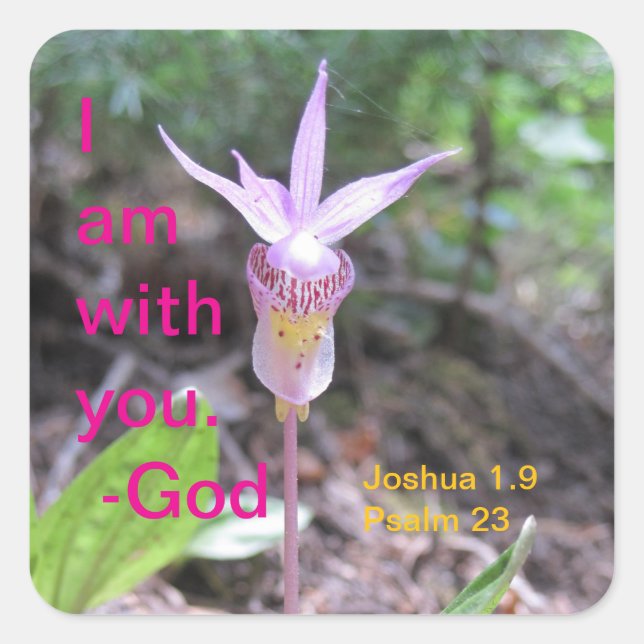 Fairyslipper Orchid Flower Square Sticker (Front)