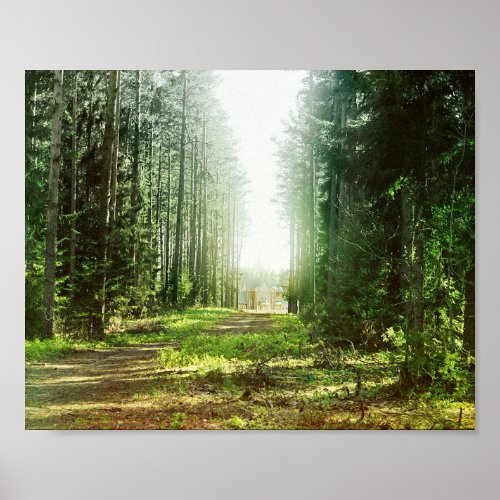 Fairytale Forest _ 1910 Vintage Color Photo Poster