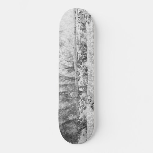 Fairytale Forest 2 wall art  Skateboard