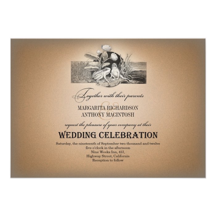 fairytale romantic vintage wedding invitations