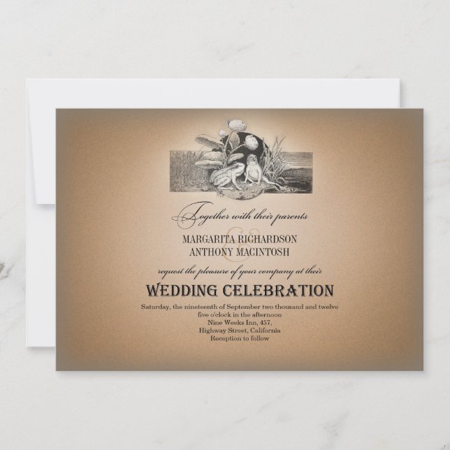 fairytale romantic vintage wedding invitations (Front)