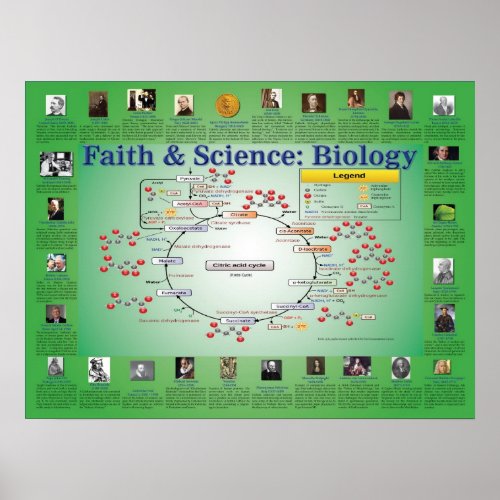 Faith and Science Biology Krebs Cycle Poster