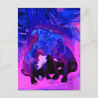 Faith Hope & Charity, Abused Pit Bull Dogs Postcard