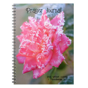 Faith Ice Crystals Rose in Pink Prayer Journal