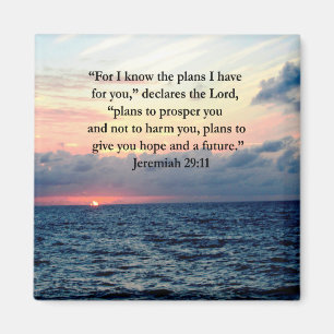 FAITH IN JEREMIAH 29:11 SUNRISE VERSE MAGNET