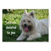 faithful (Front Horizontal)