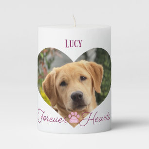 Faithful Companion Pet Memorial Photo Name Date Pillar Candle