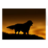 Faithful Golden Retriever (Front Horizontal)