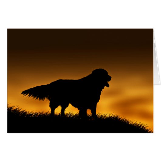 Faithful Golden Retriever (Front Horizontal)