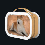 FAITHFUL LUNCH BOX<br><div class="desc">A loyal and faithful Shiba dog.</div>