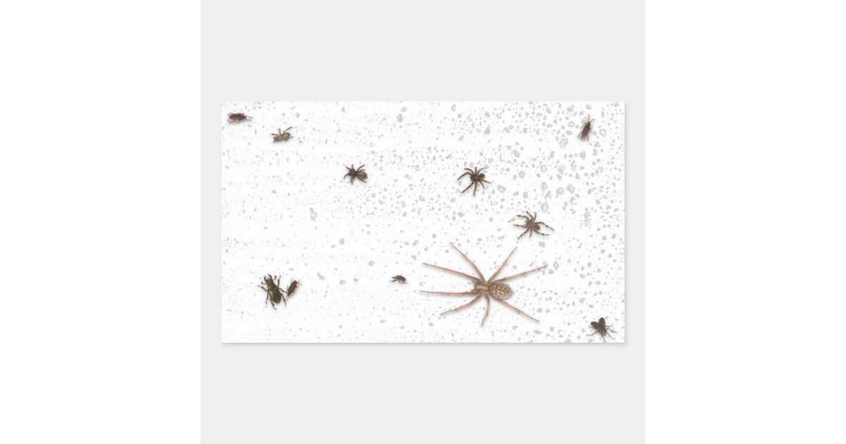 Fake Bugs On Screen Or Window Prank Rectangular Sticker | Zazzle Fake Bugs On Screen Or Window Prank Rectangular Sticker | Zazzle