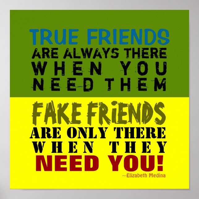 FAKE vs TRUE ~ 12x12 Poster (Front)