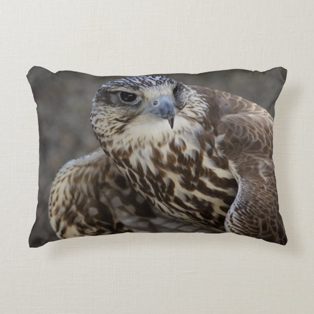 Falco cherrug decorative pillow (Front)