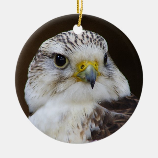 Falco cherrug Portrait Ceramic Ornament (Front)