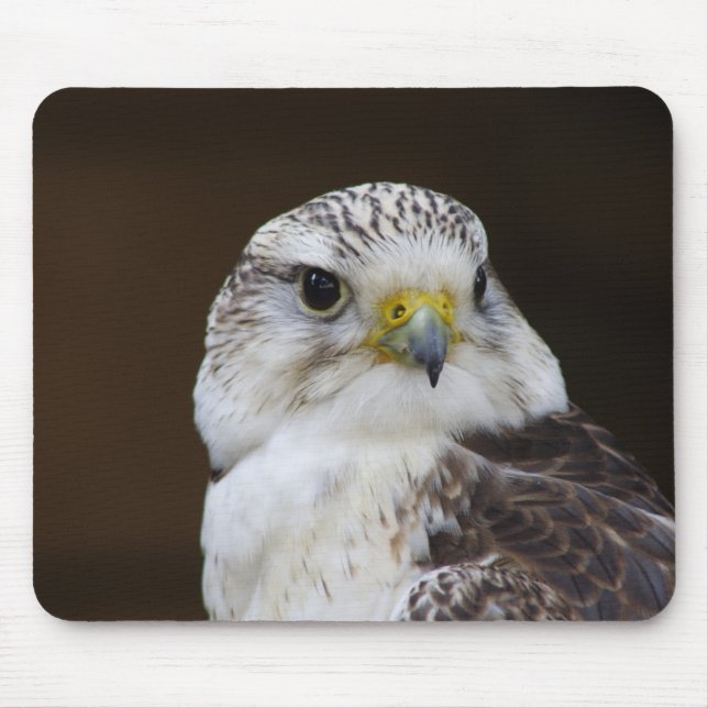 Falco cherrug Portrait Mouse Pad (Front)
