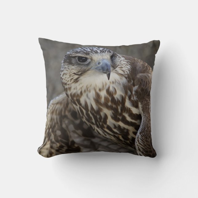 Falco cherrug throw pillow (Front)