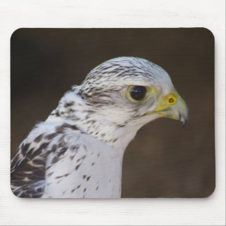 Falco rusticolus mouse pad