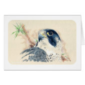 Falcon (Front Horizontal)