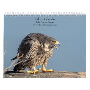 Falcon 2024 Calendar by debscreative at Zazzle