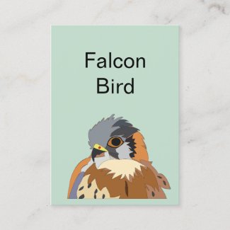 Falcon Bird Illustration