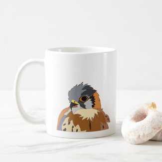 Falcon Bird Illustration