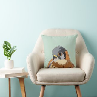Falcon Bird Illustration