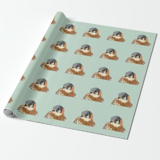Falcon Bird Illustration
