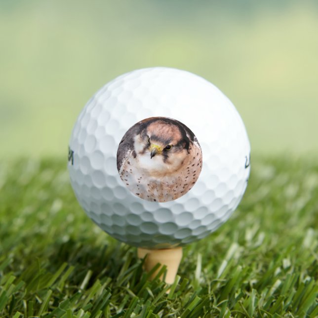 FALCON BIRD OF PREY GOLF BALLS (Insitu Tee)
