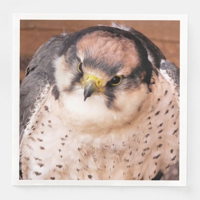 FALCON BIRD OF PREY PAPER DINNER NAPKINS (Front)