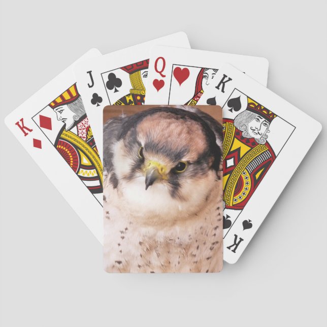 FALCON BIRD OF PREY POKER CARDS (Back)