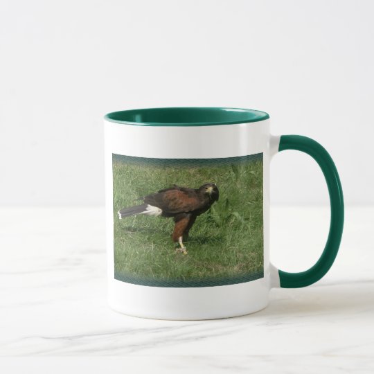 Falcon cup