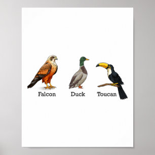 Falcon Duck Toucan Birds Subtle Anti Trump Poster
