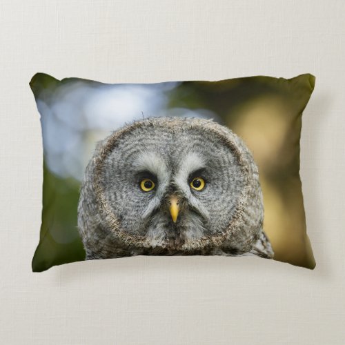 Falcon Eye Accent Pillow