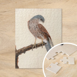 Falcon Hen Kestrel William Lewin Jigsaw Puzzle