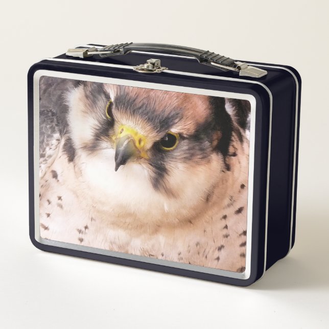 FALCON METAL LUNCH BOX (Front)