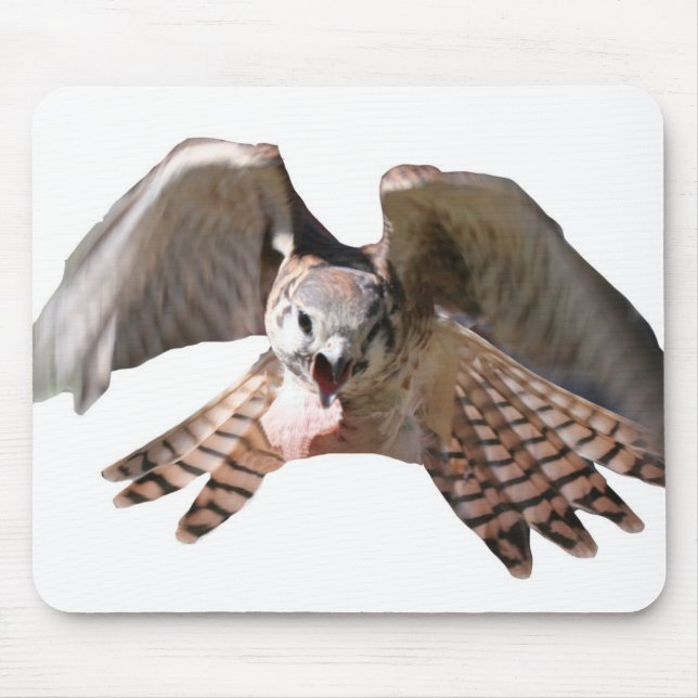 Falcon Mousepad (Front)