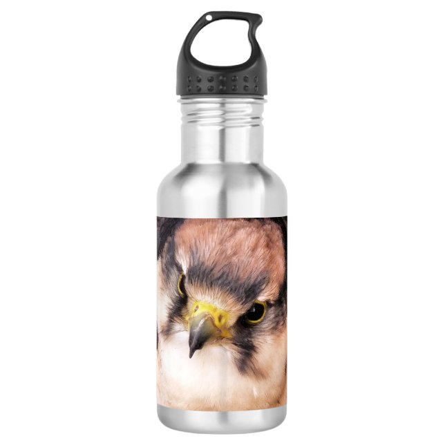 FALCON STAINLESS STEEL WATER BOTTLE (Front)