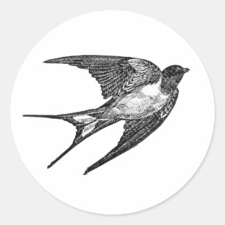 falcon sticker in white backround