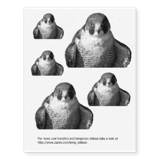 Falcon transfers and temporary tattoos