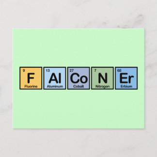 Falconer made of Elements Postcard
