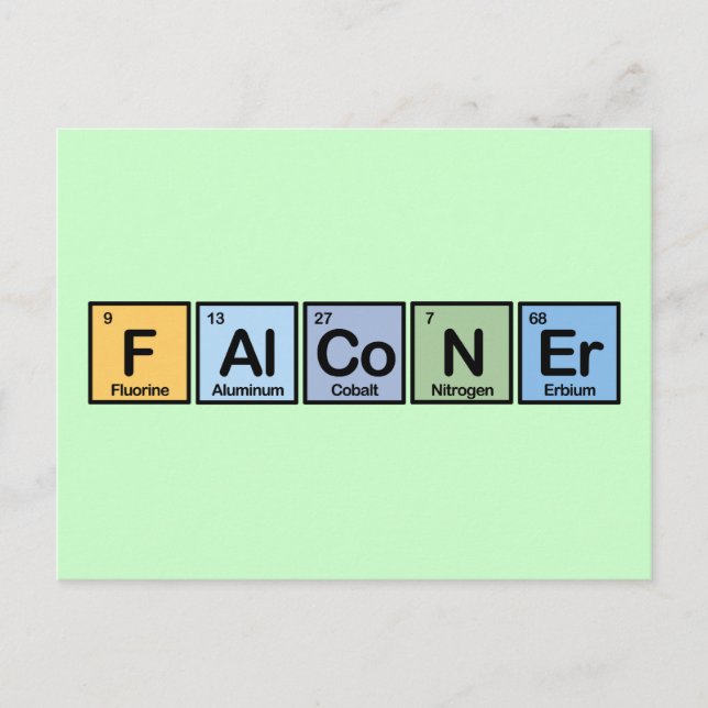 Falconer made of Elements Postcard (Front)