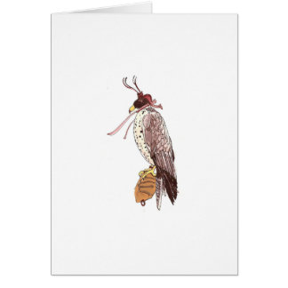 falconry cards