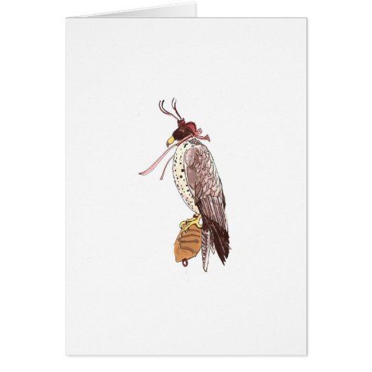 falconry cards (Front)