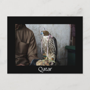 Falconry falcon black Qatar postcard
