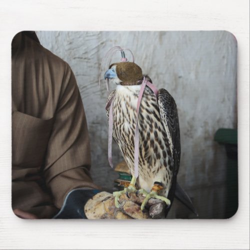 Falconry falcon mousepad