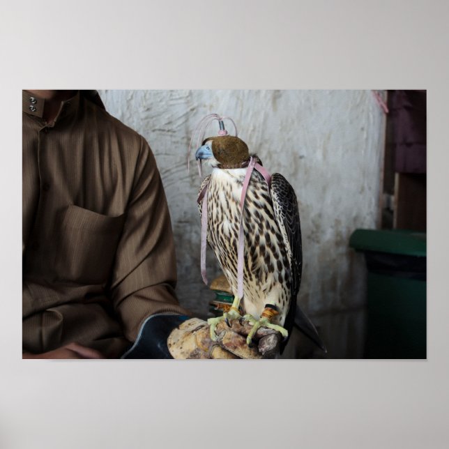 Falconry falcon poster (Front)
