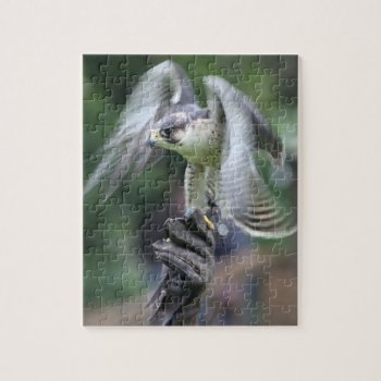 Falconry Jigsaw Puzzle by Rosemariesw at Zazzle