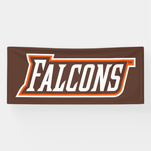 Falcons Logo Banner