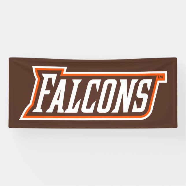 Falcons Logo Banner (Horizontal)